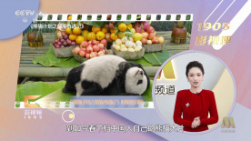 中文亚洲日韩欧美